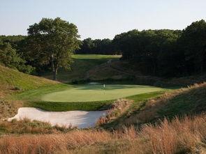 松树谷,自然奇观与生态秘境的绿色画卷